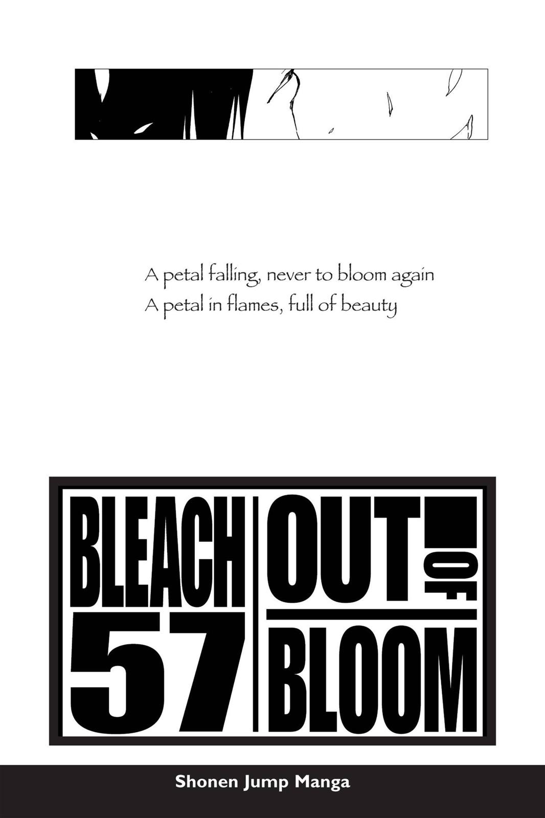 Bleach Chapter 500 - Page 4