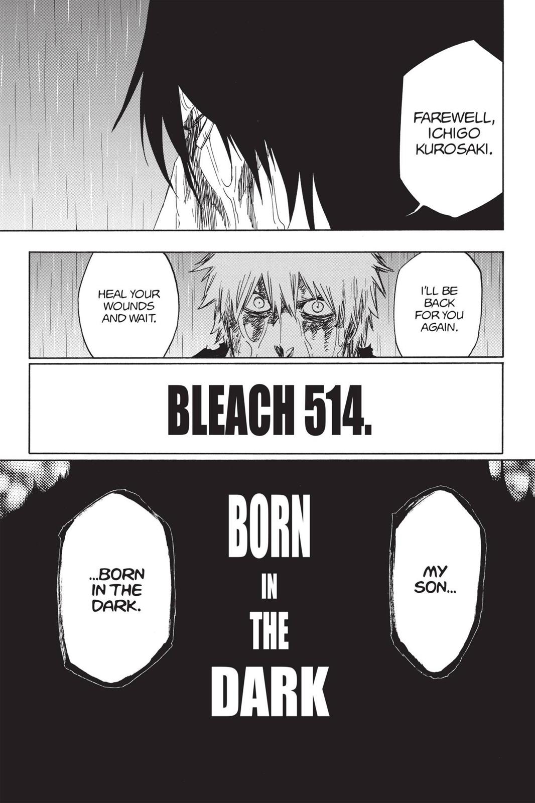 Bleach Chapter 514 - Page 17