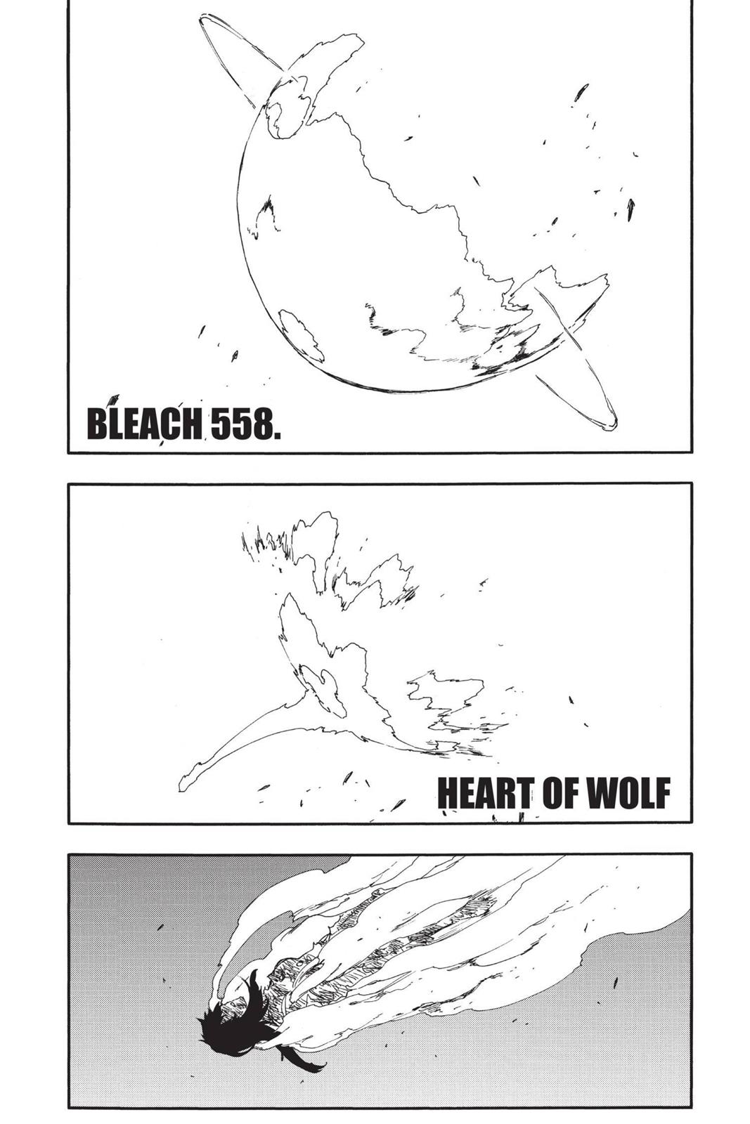 Bleach Chapter 558 - Page 5