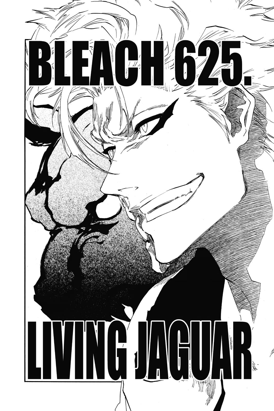 Bleach Chapter 625 - Page 2