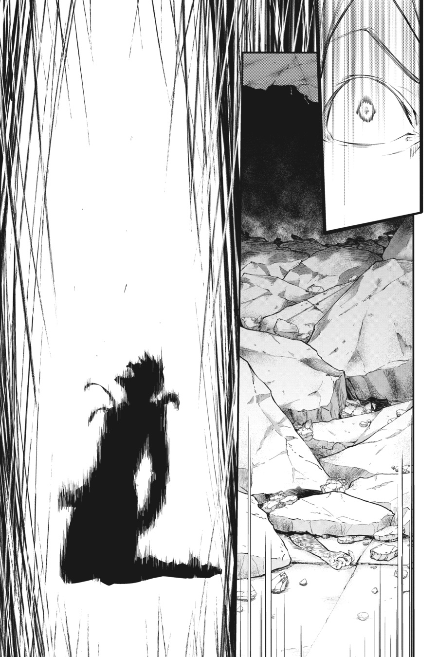 Bungo Stray Dogs Chapter 47 - Page 50