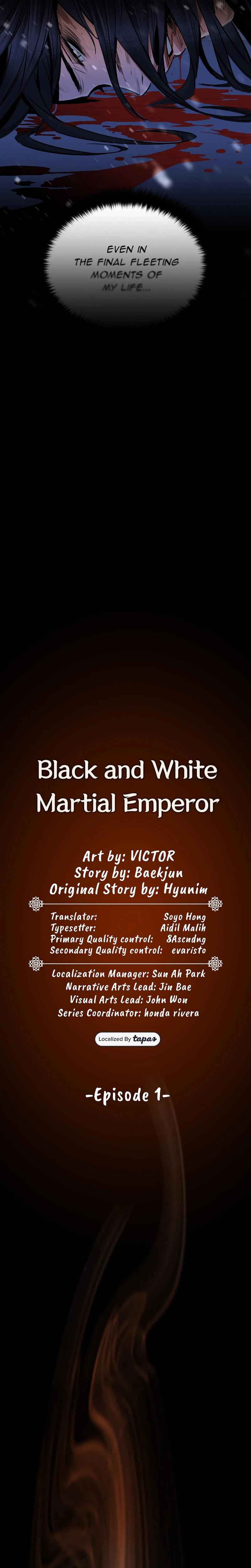 Dark and Light Martial Emperor Chapter 1 - Page 16