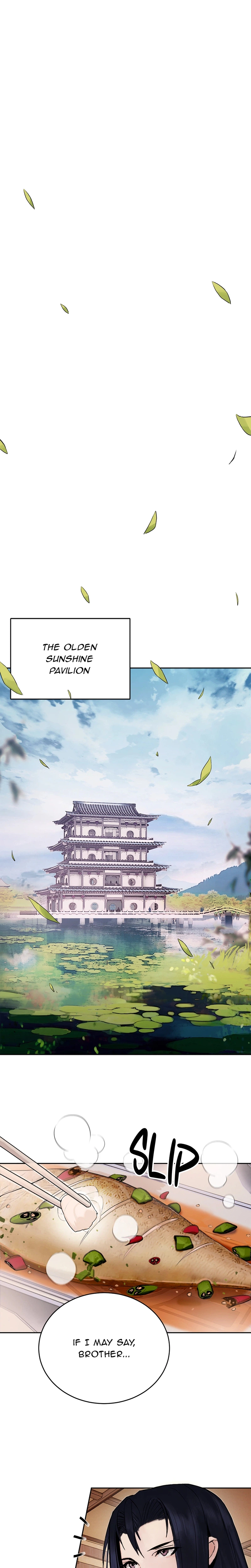 Dark and Light Martial Emperor Chapter 2 - Page 17