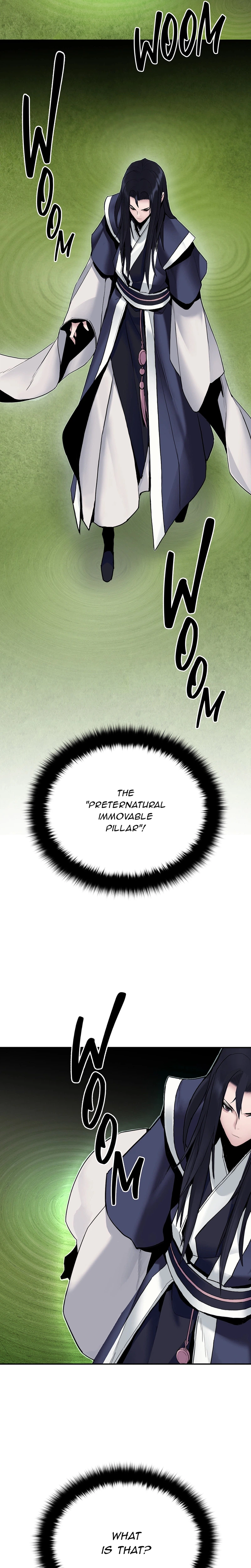 Dark and Light Martial Emperor Chapter 13 - Page 16