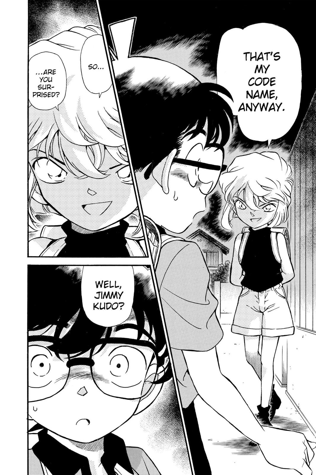 Case Closed Chapter 178 - Page 17