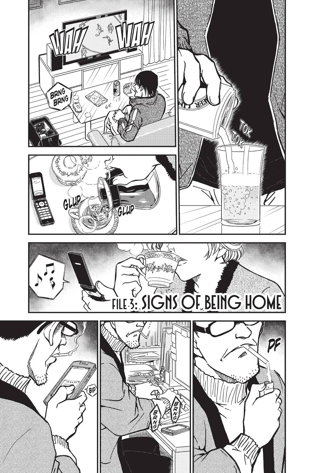 Case Closed Chapter 808 - Page 17