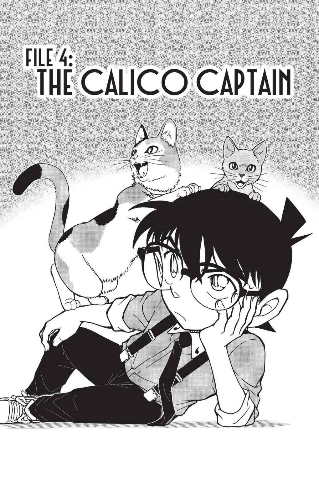 Case Closed Chapter 865 - Page 1