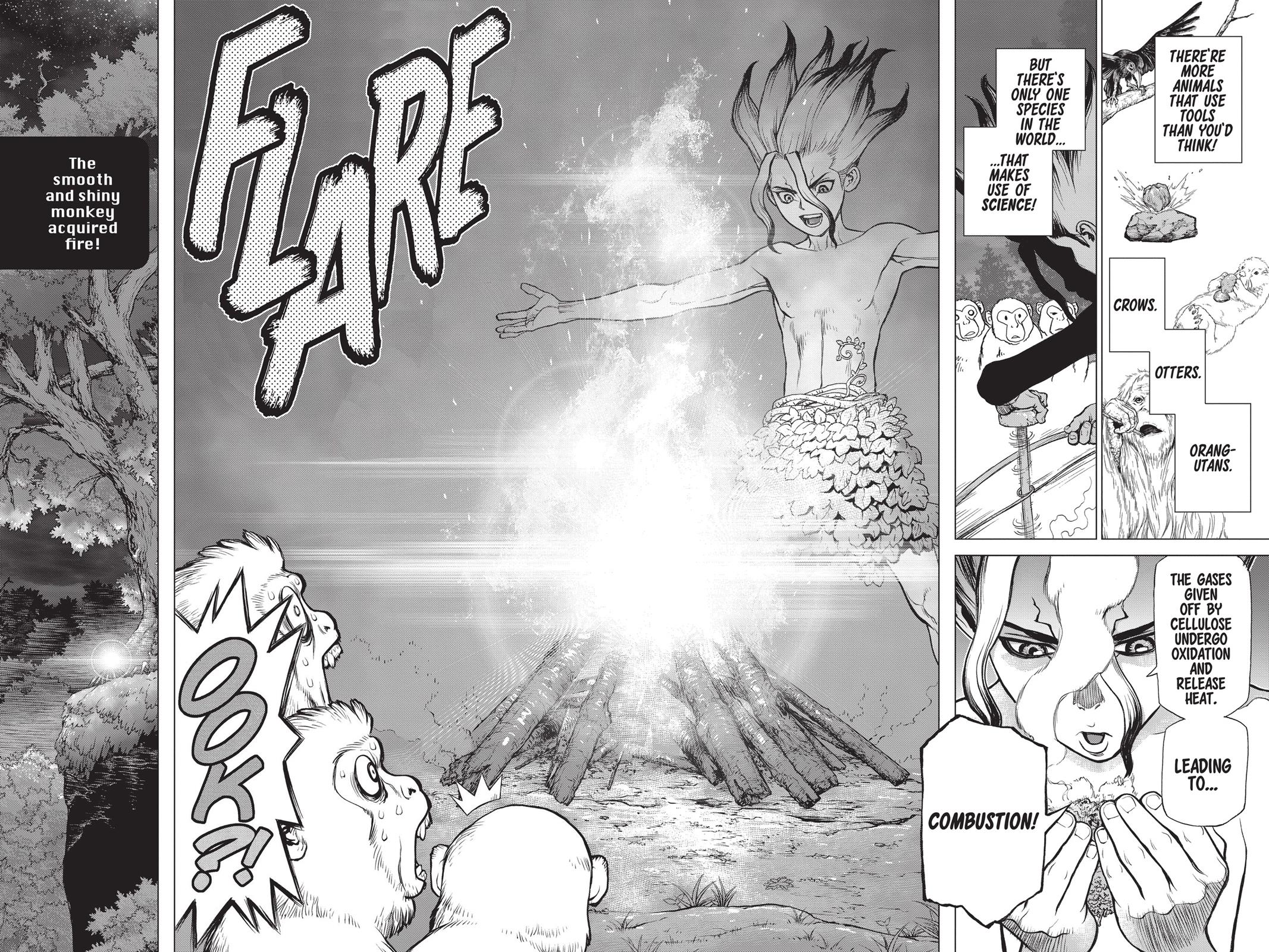 Dr. STONE Chapter 13 - Page 15