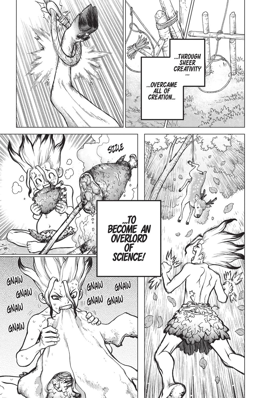 Dr. STONE Chapter 13 - Page 17