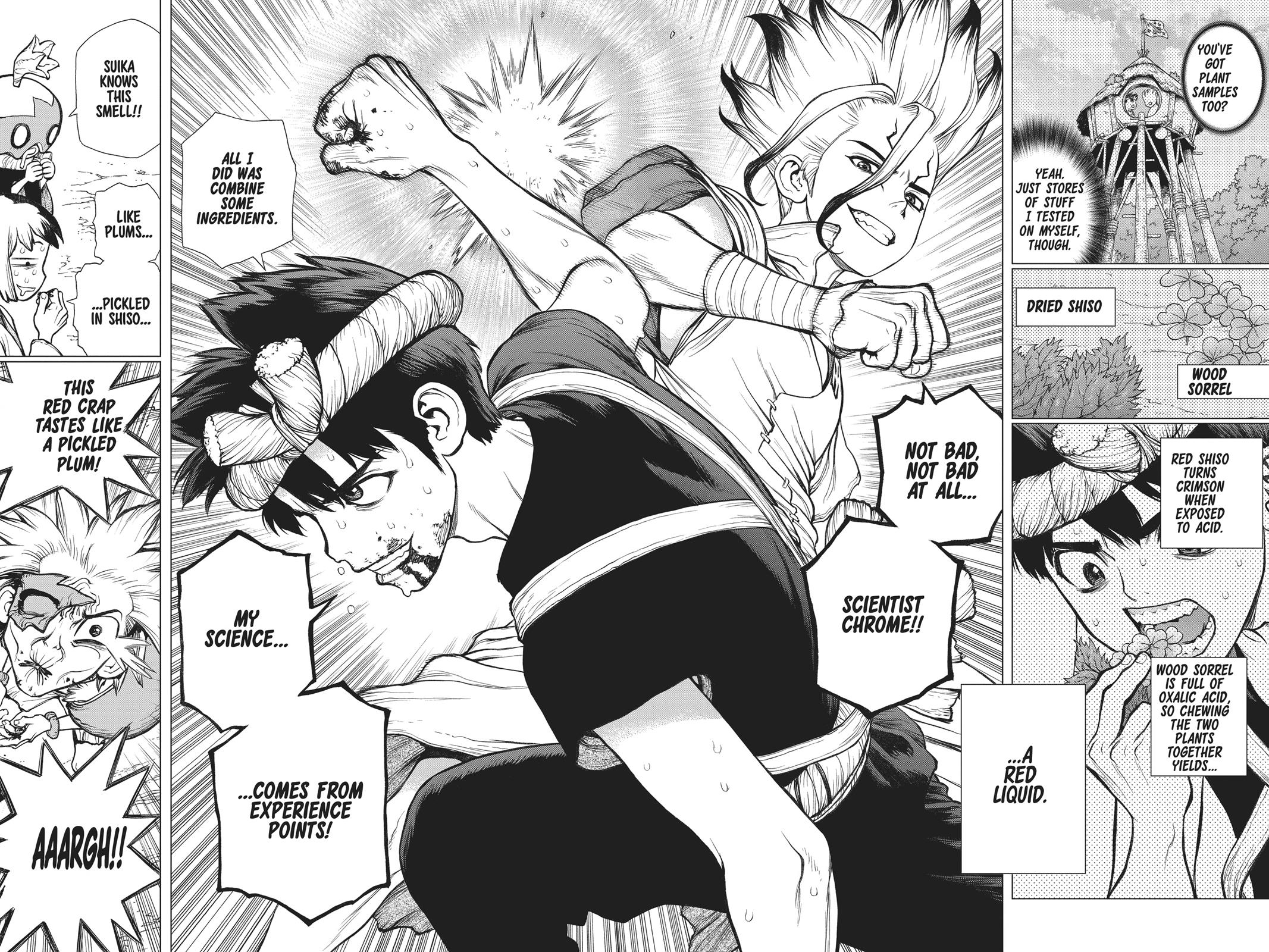 Dr. STONE Chapter 72 - Page 16