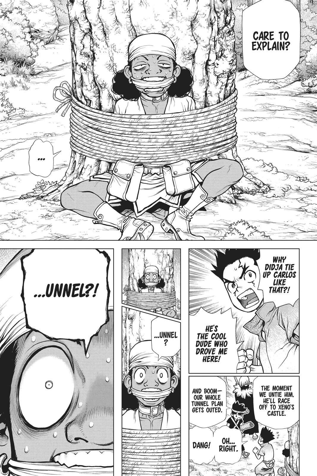 Dr. STONE Chapter 162 - Page 15