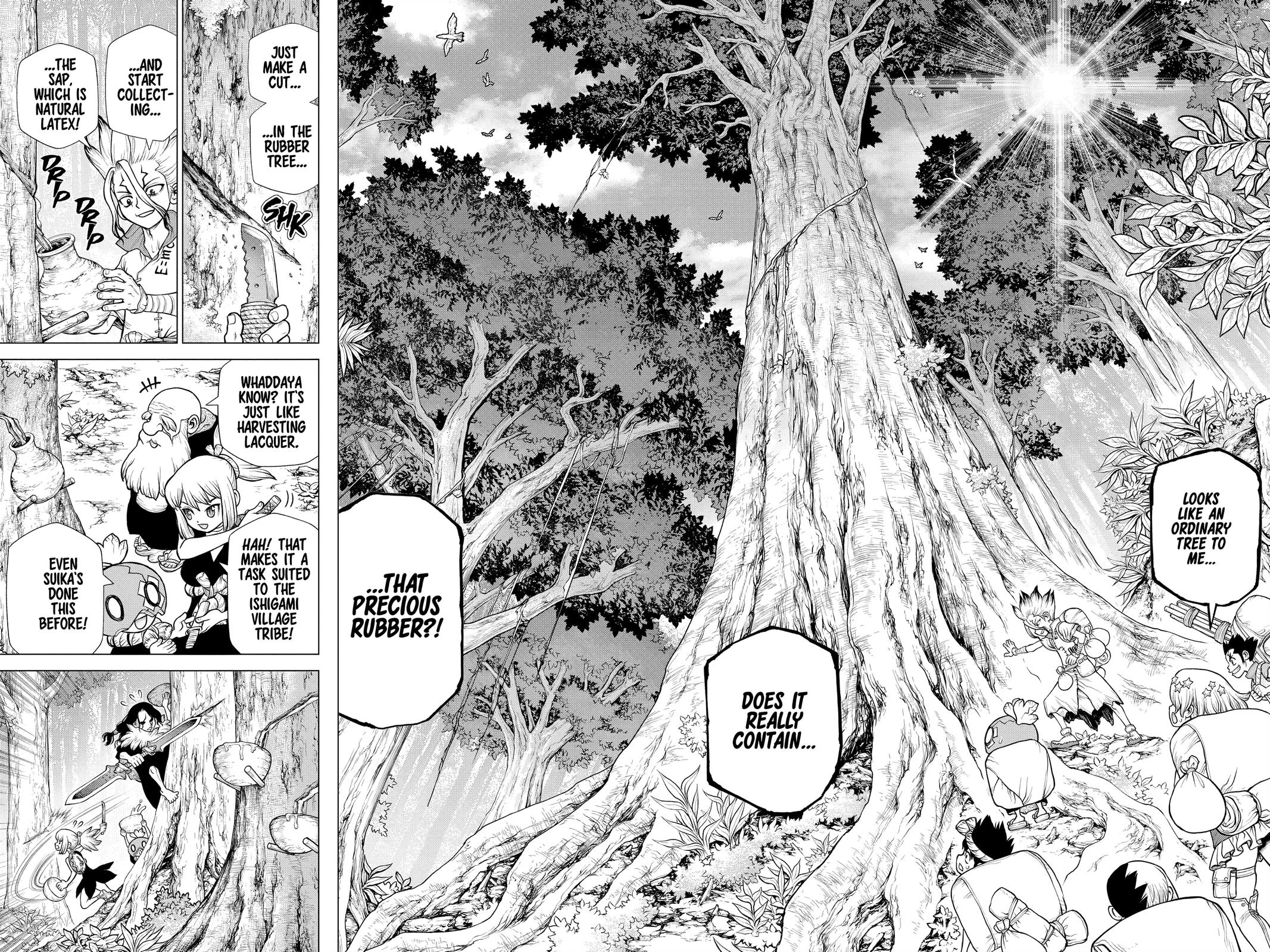 Dr. STONE Chapter 174 - Page 11