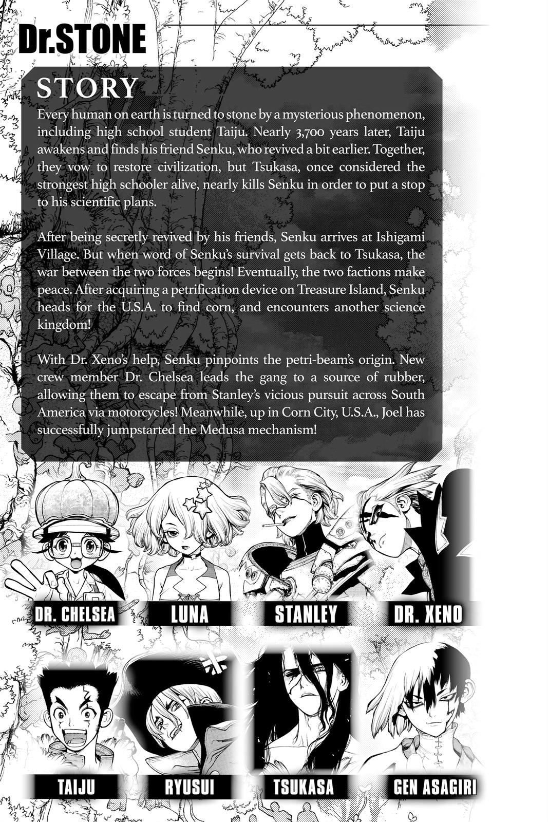Dr. STONE Chapter 179 - Page 4