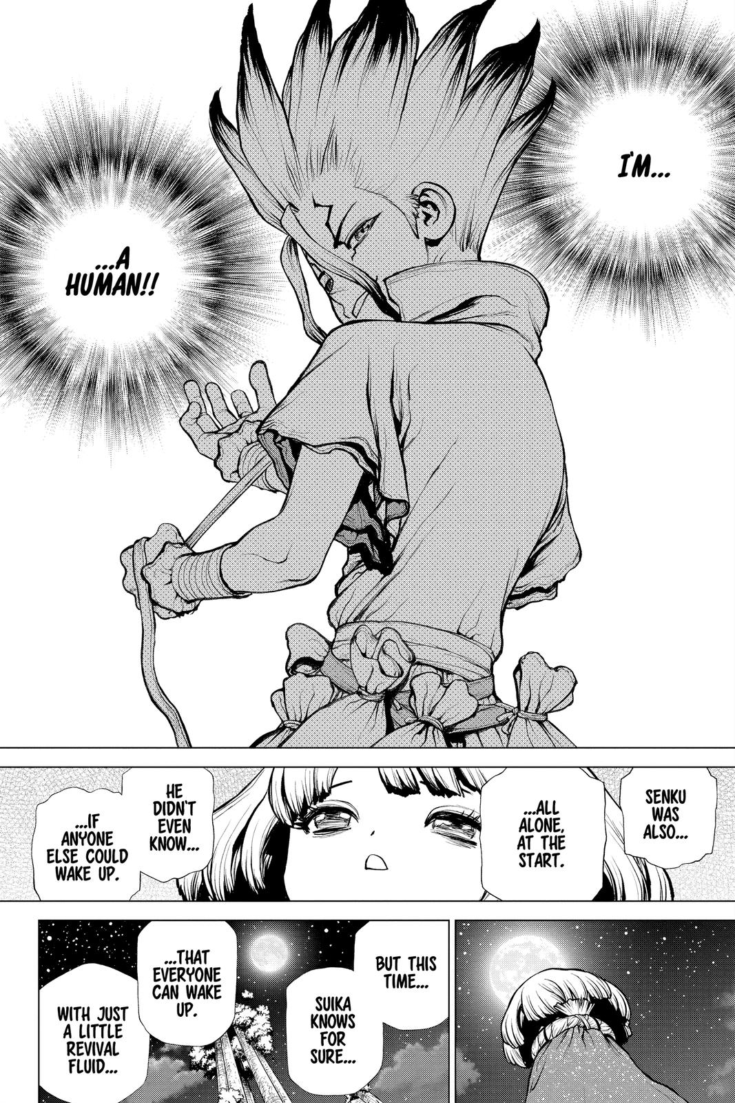 Dr. STONE Chapter 194 - Page 15