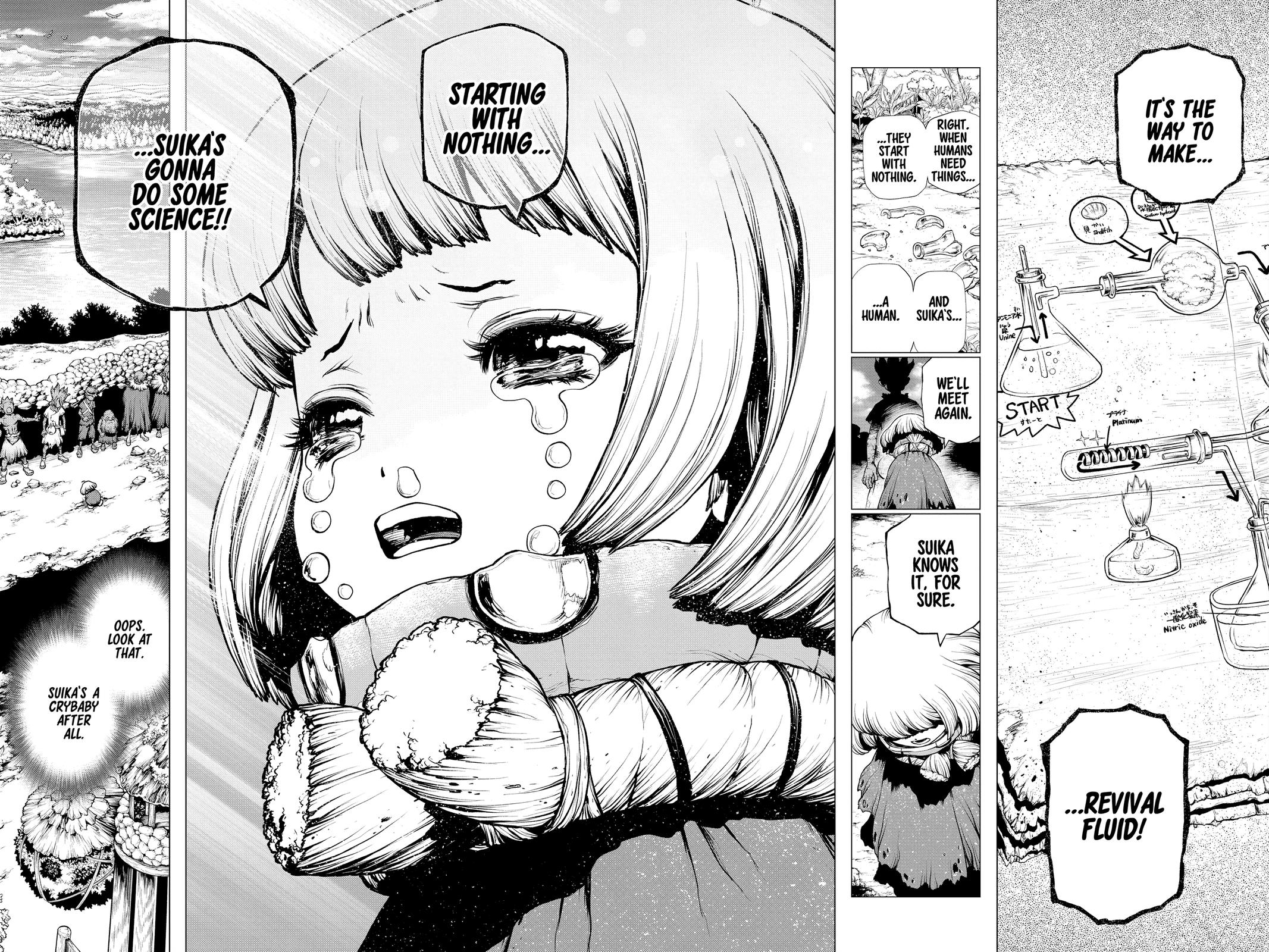 Dr. STONE Chapter 195 - Page 16