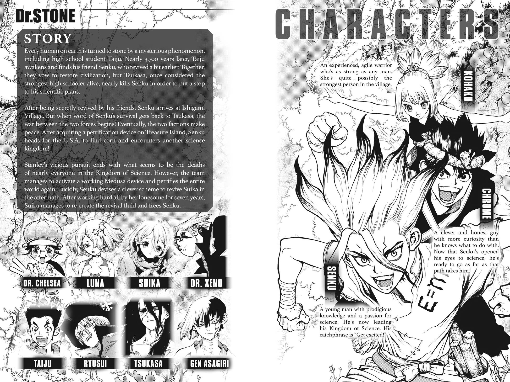Dr. STONE Chapter 197 - Page 5