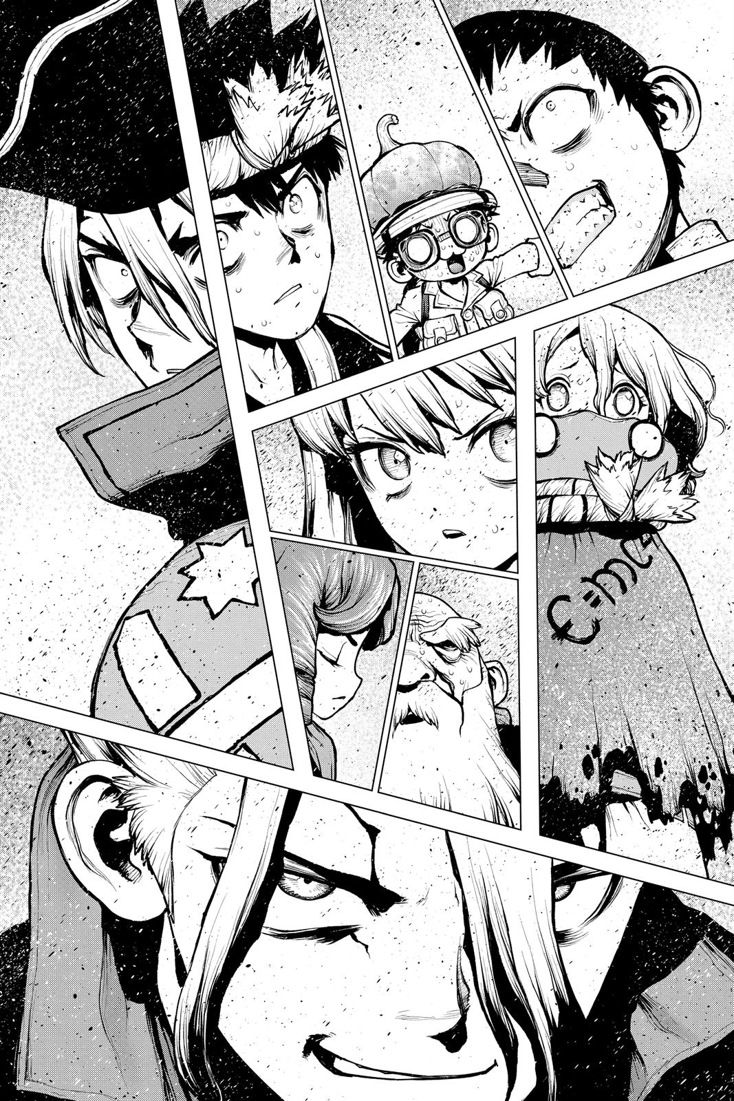 Dr. STONE Chapter 201 - Page 12