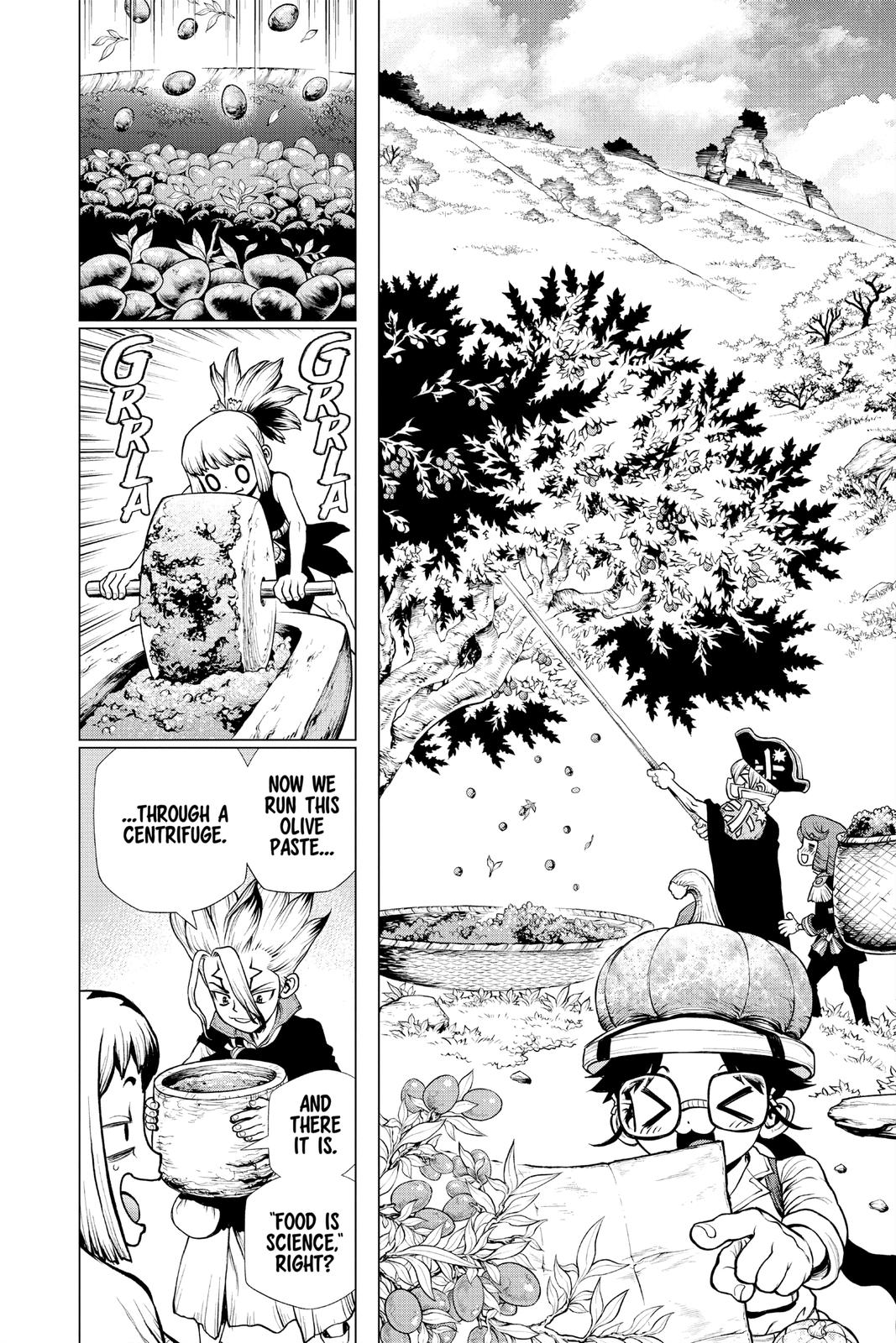 Dr. STONE Chapter 202 - Page 5