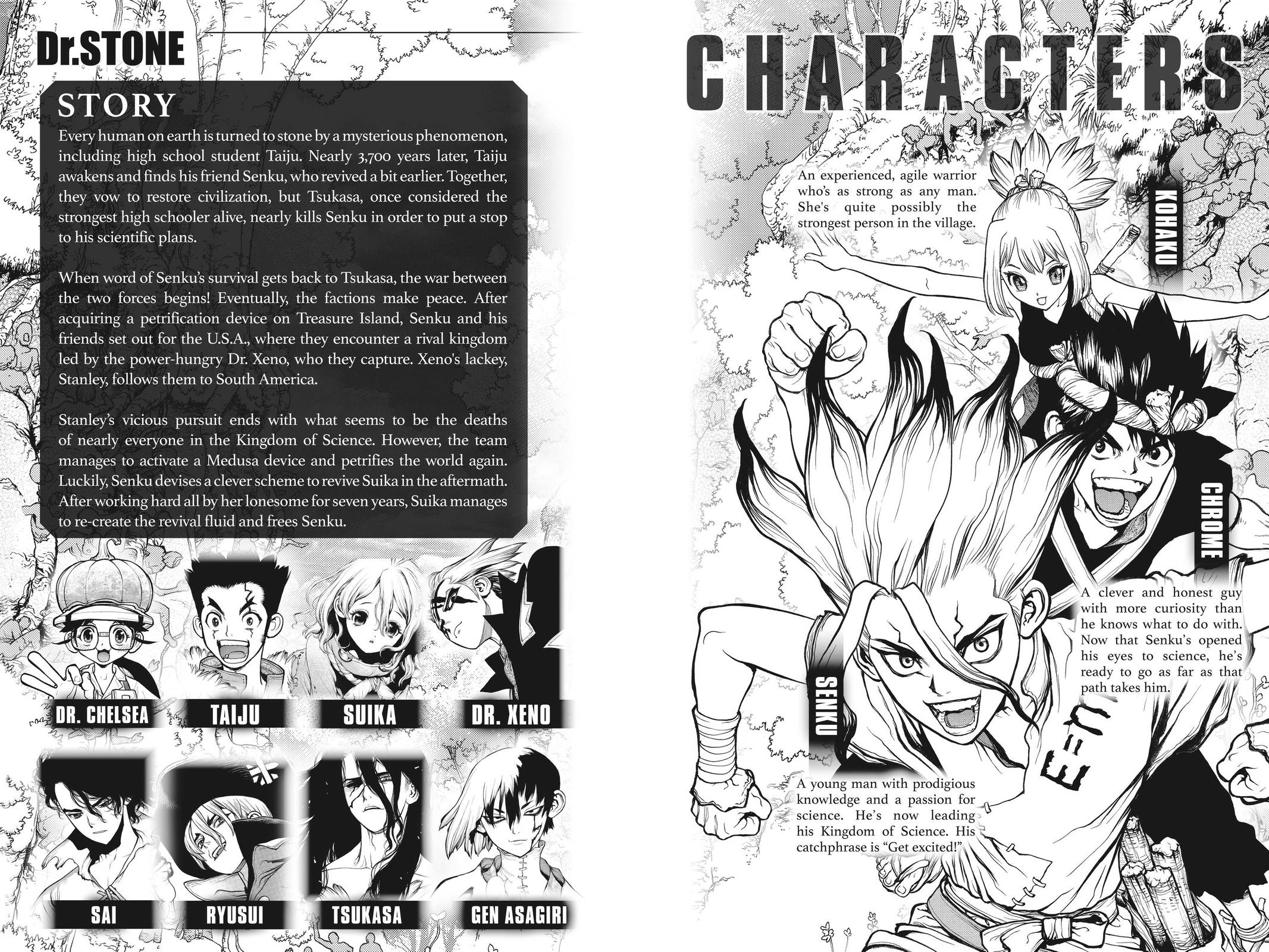 Dr. STONE Chapter 206 - Page 5