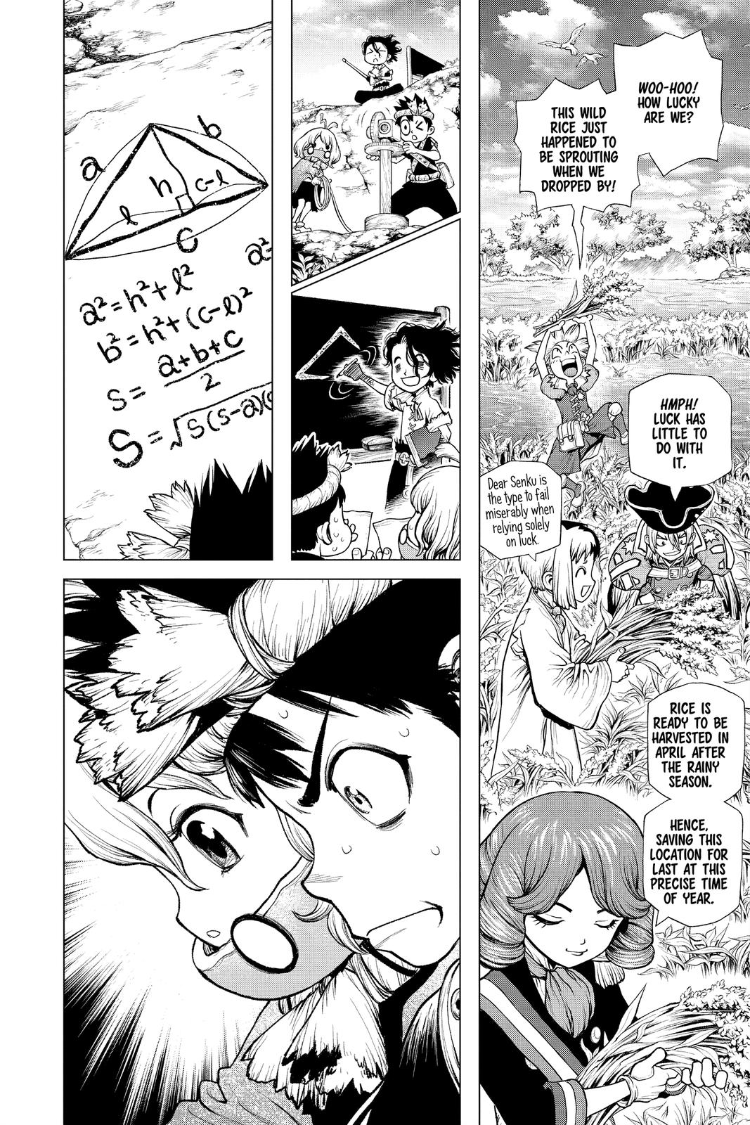 Dr. STONE Chapter 211 - Page 8