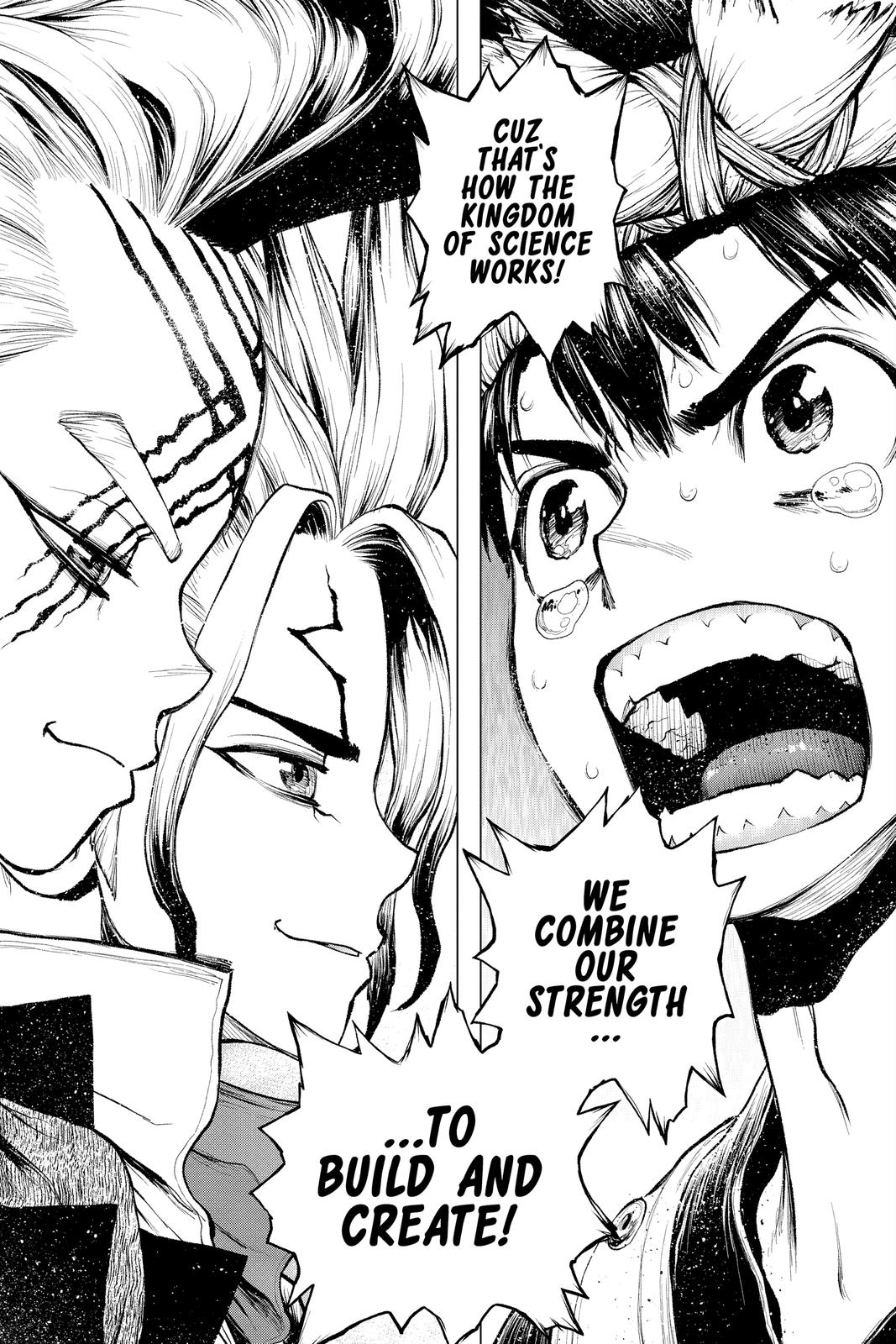 Dr. STONE Chapter 217 - Page 11