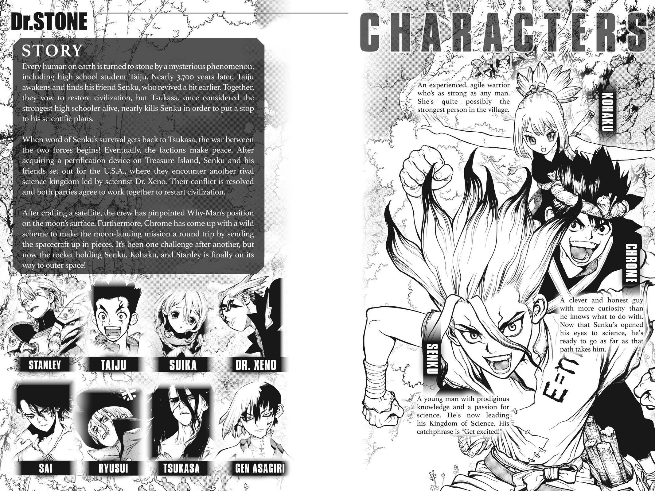 Dr. STONE Chapter 224 - Page 3
