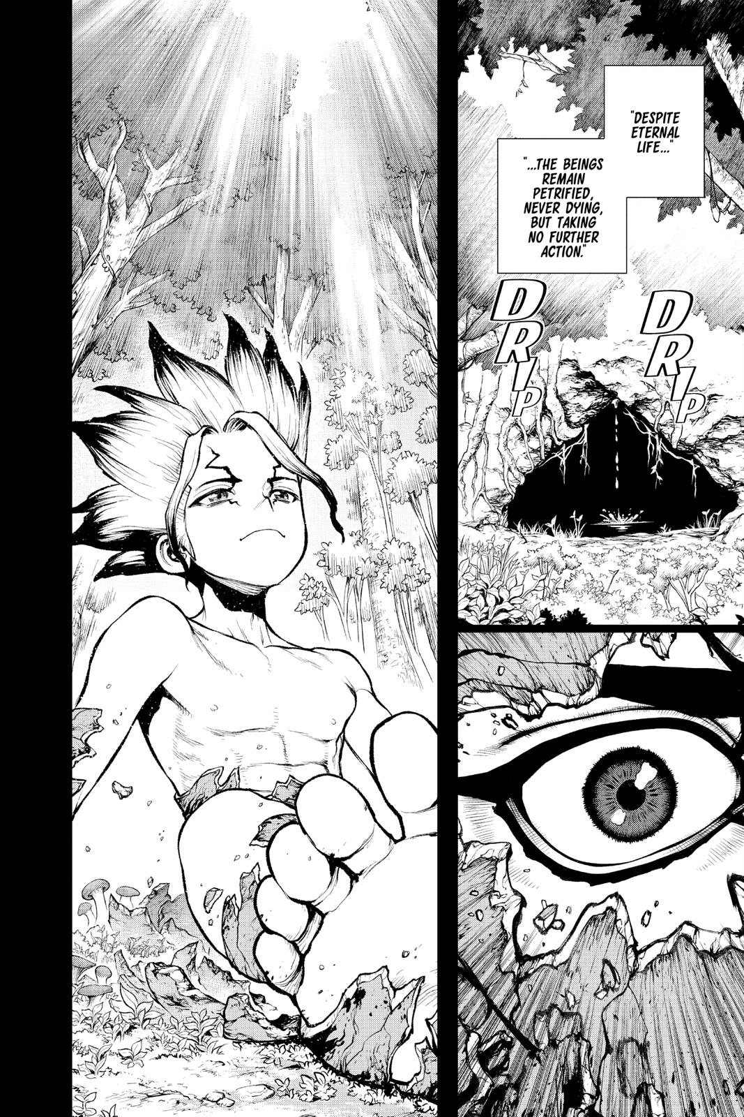 Dr. STONE Chapter 229 - Page 13