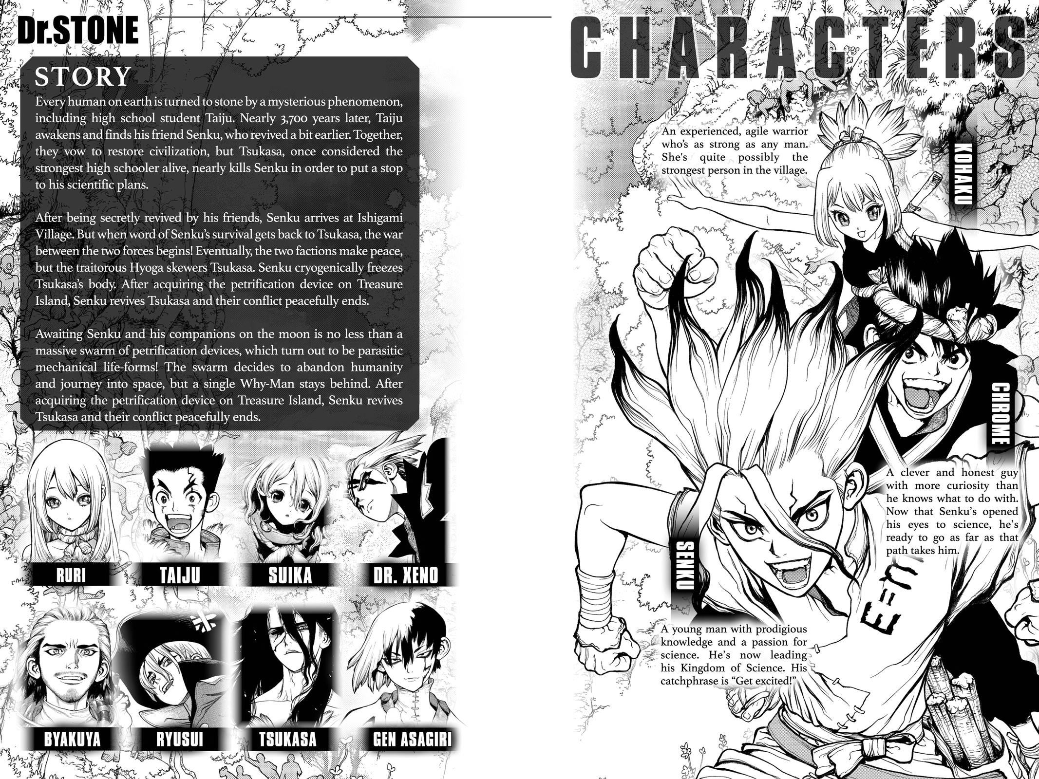 Dr. STONE Chapter 232.5 - Page 5