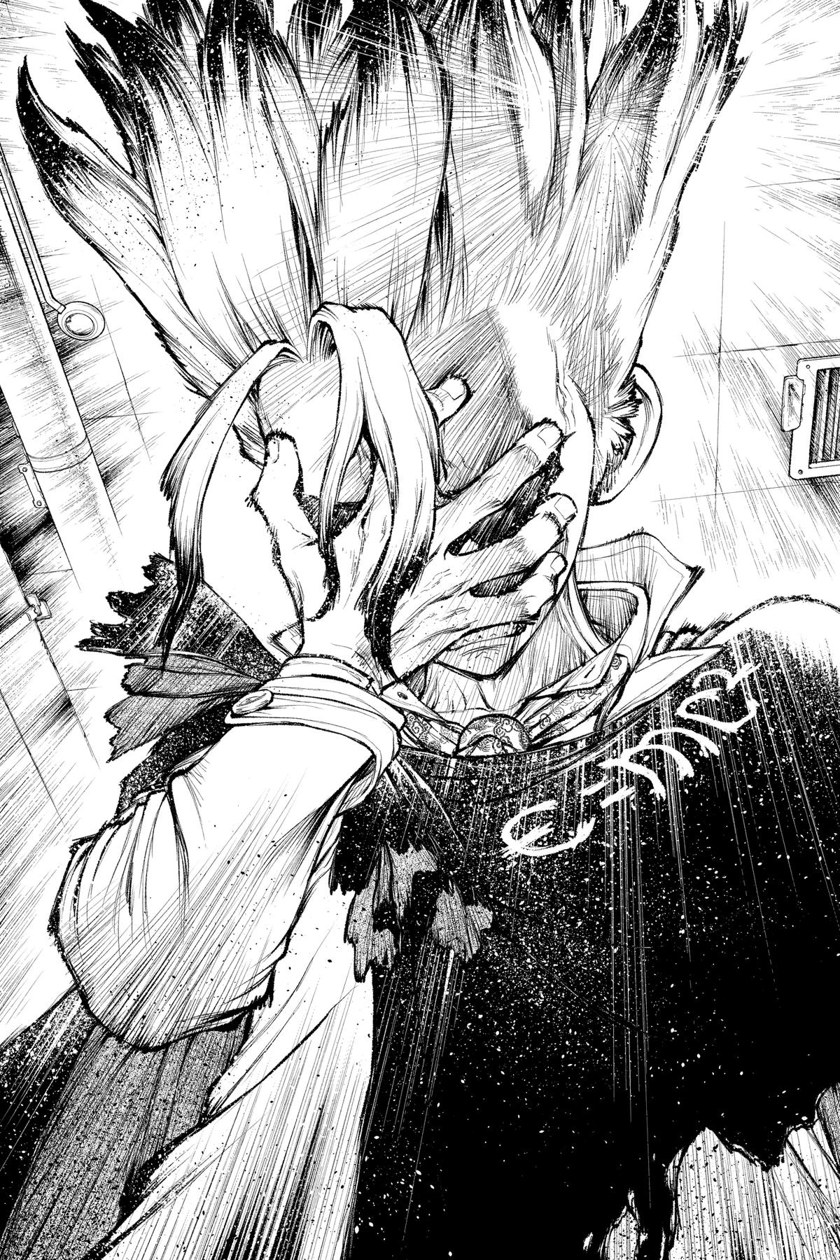 Dr. STONE Chapter 232.8 - Page 17