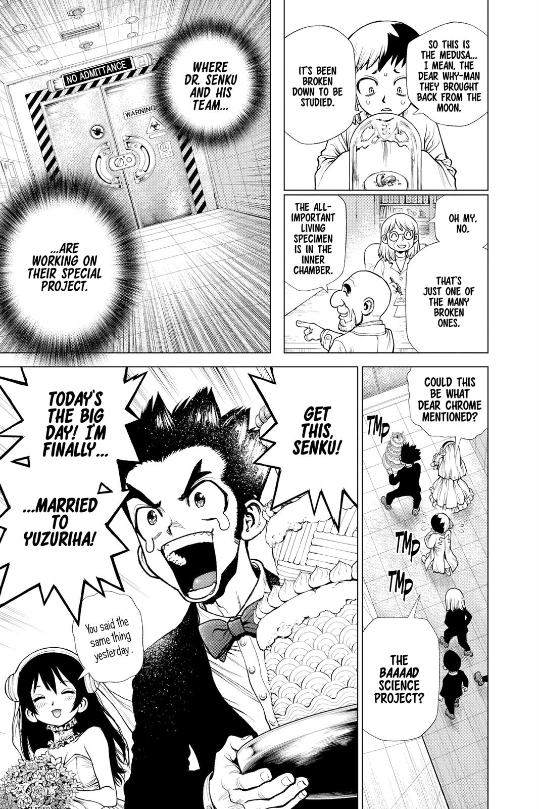 Dr. STONE Chapter 232 - Page 13