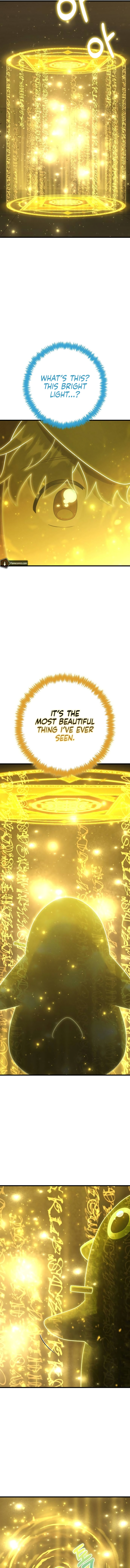 Foreigner on the Periphery Chapter 43 - Page 15