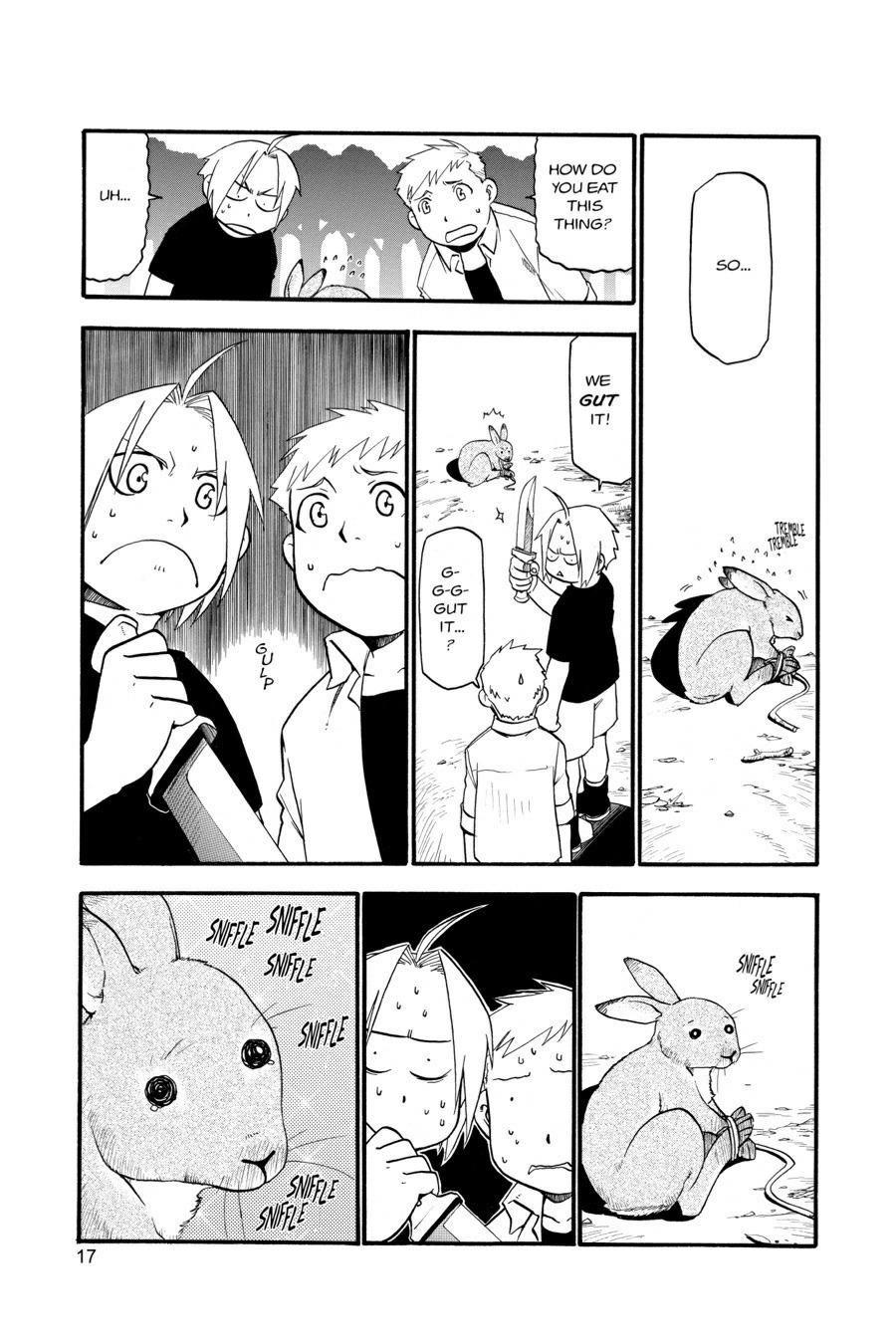 Fullmetal Alchemist Chapter 22 - Page 17