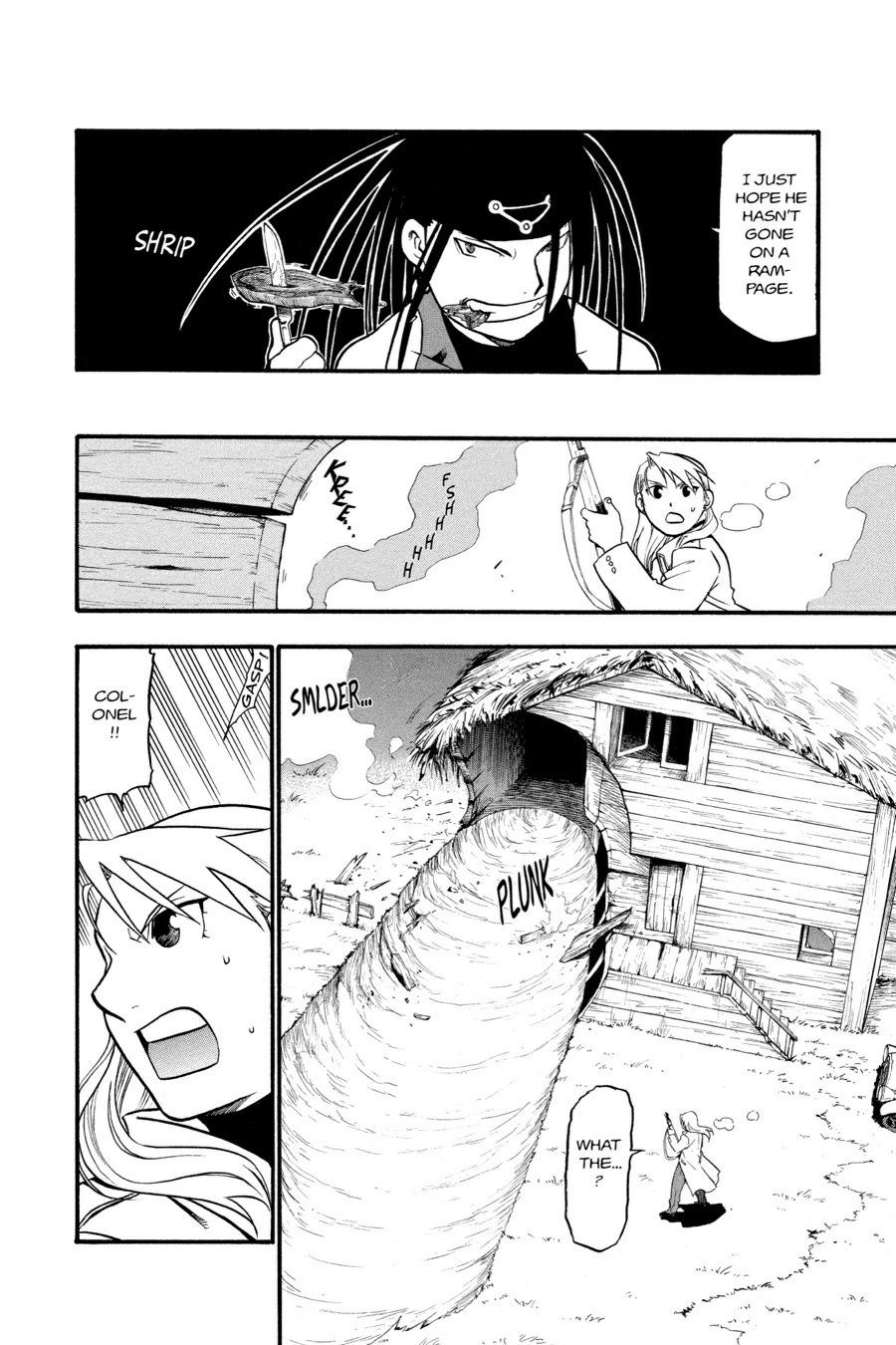 Fullmetal Alchemist Chapter 49 - Page 15