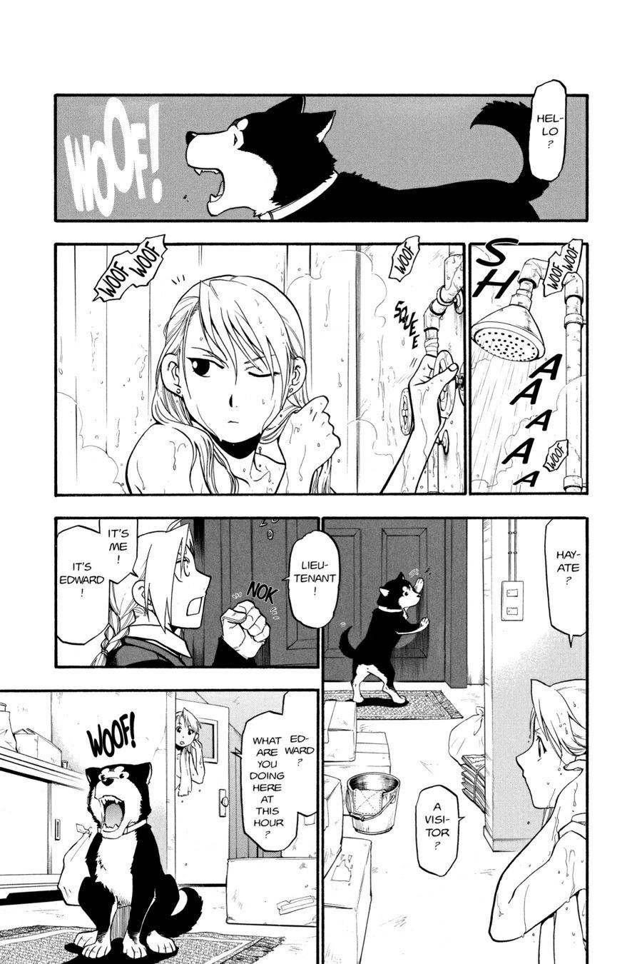 Fullmetal Alchemist Chapter 57 - Page 31
