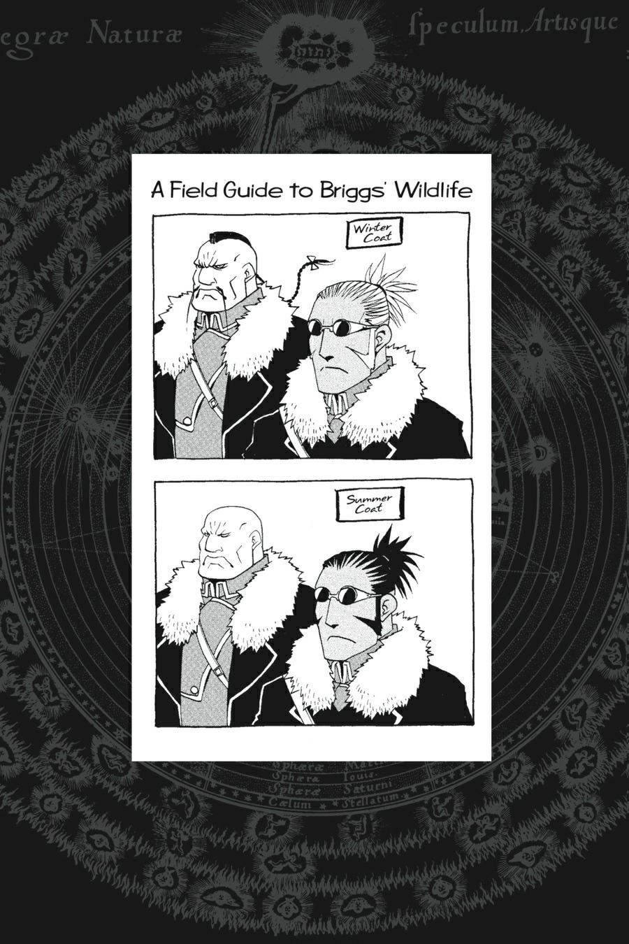 Fullmetal Alchemist Chapter 78 - Page 36