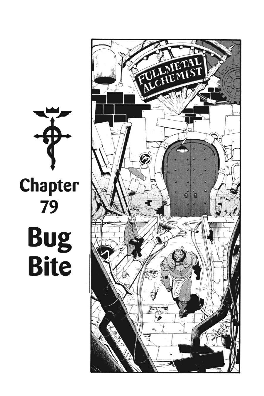 Fullmetal Alchemist Chapter 79 - Page 12