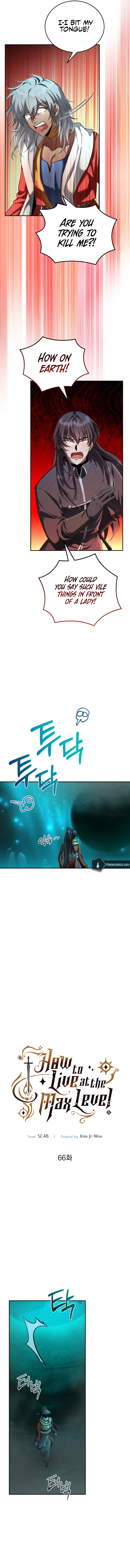 How to Live at the Max Level Chapter 66 - Page 11