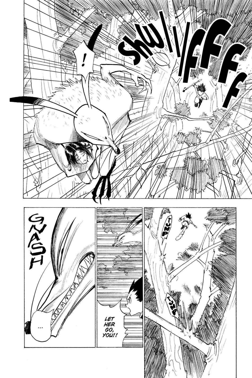 Hunter x Hunter Chapter 4 - Page 8