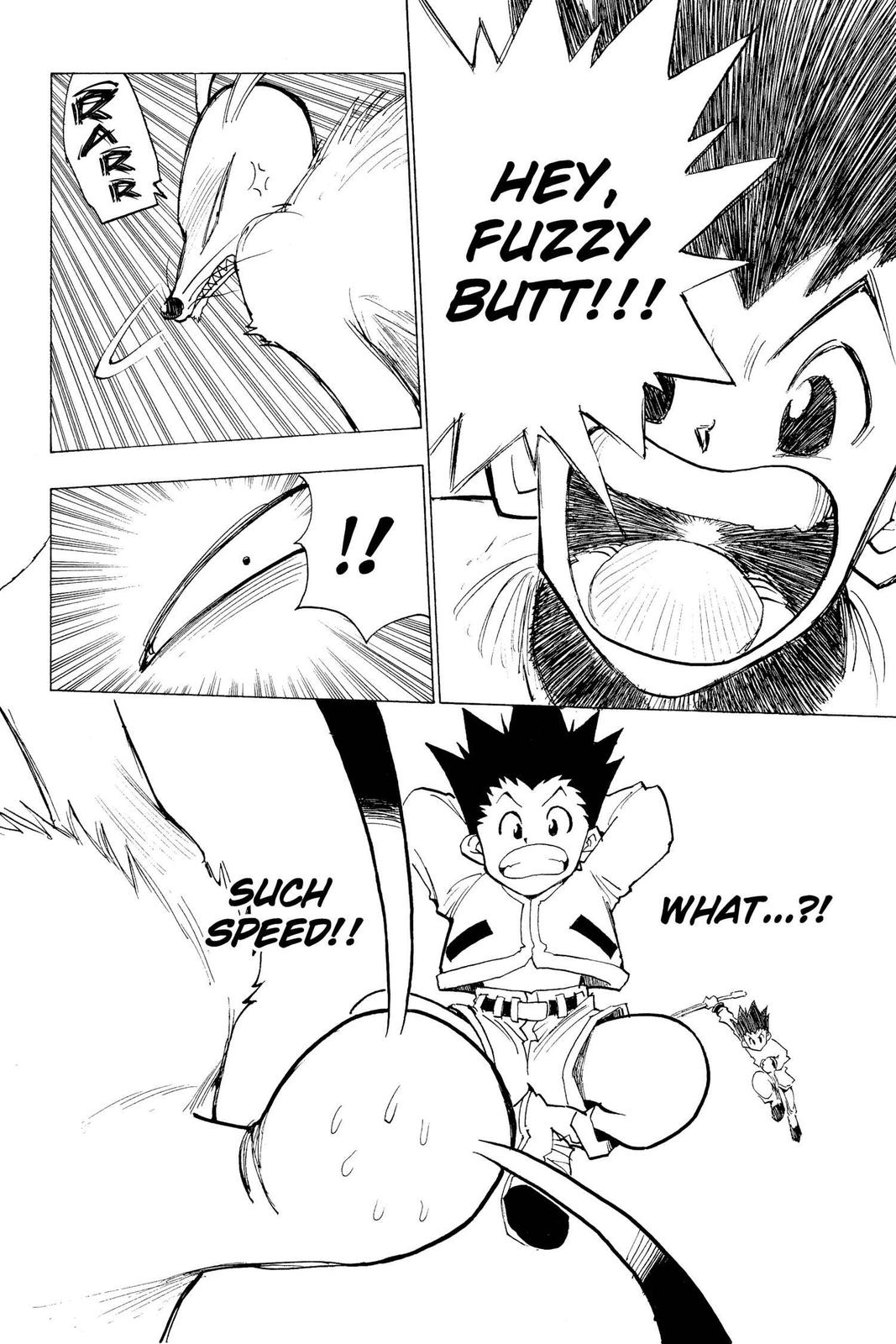 Hunter x Hunter Chapter 4 - Page 10