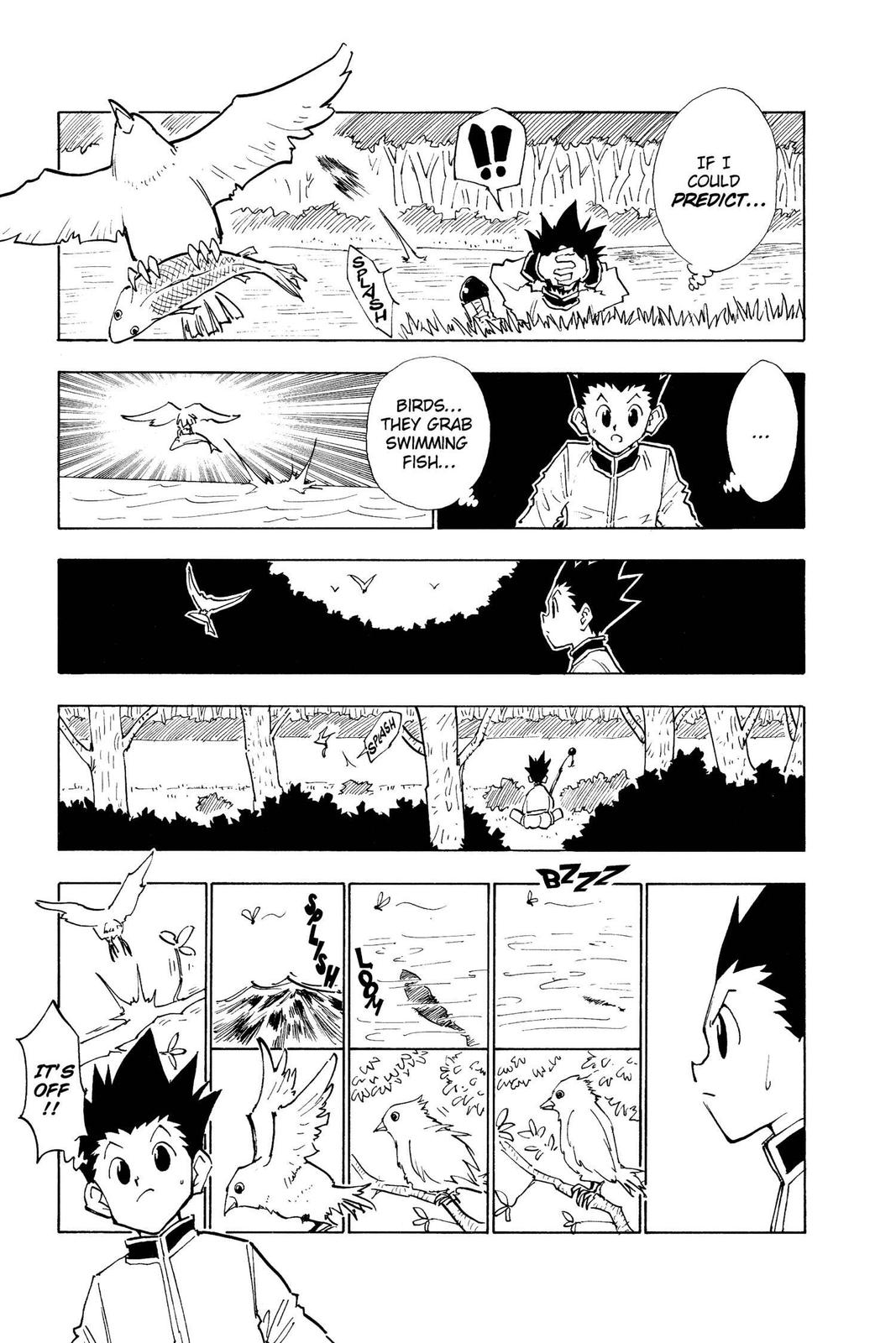 Hunter x Hunter Chapter 24 - Page 17