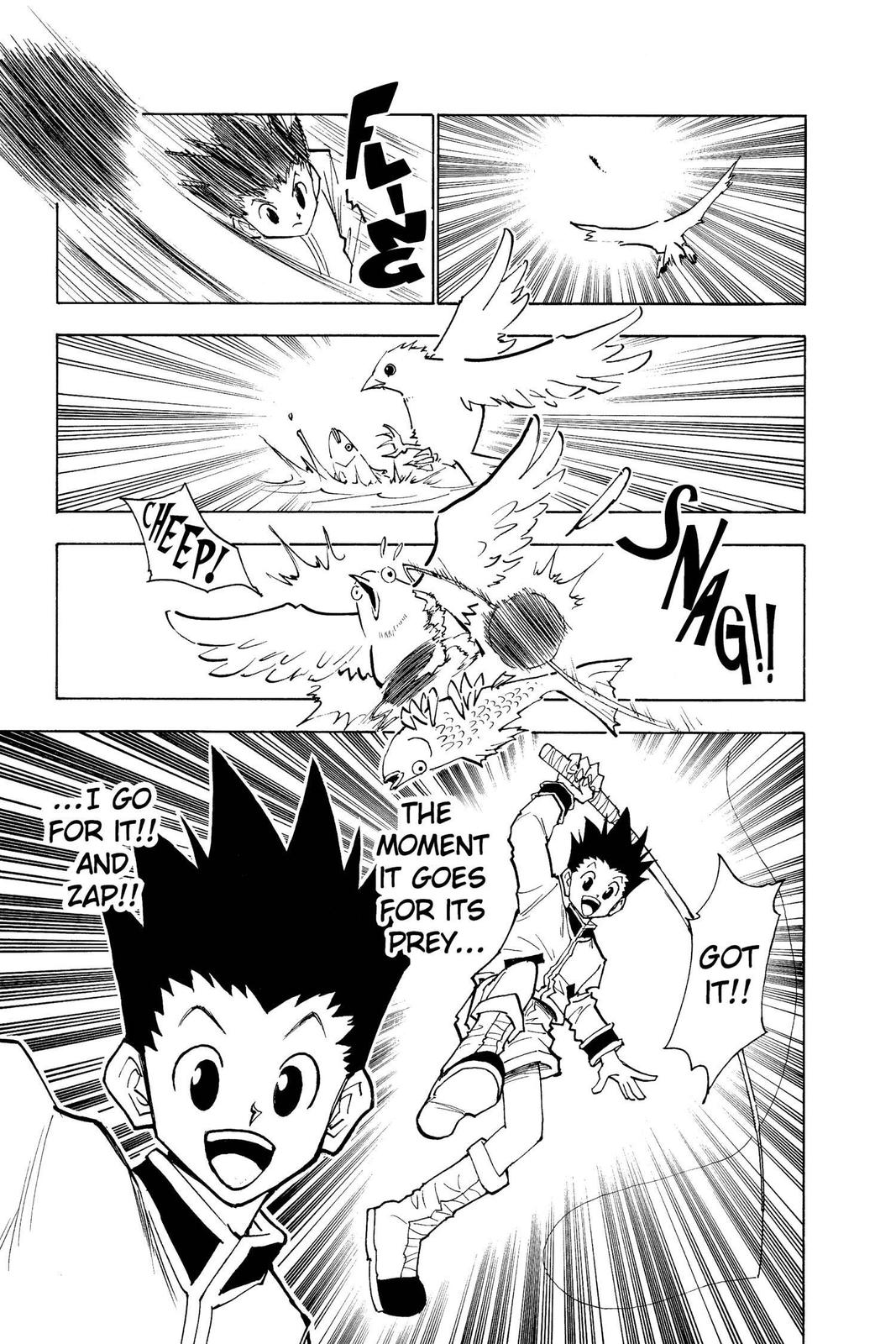 Hunter x Hunter Chapter 24 - Page 19