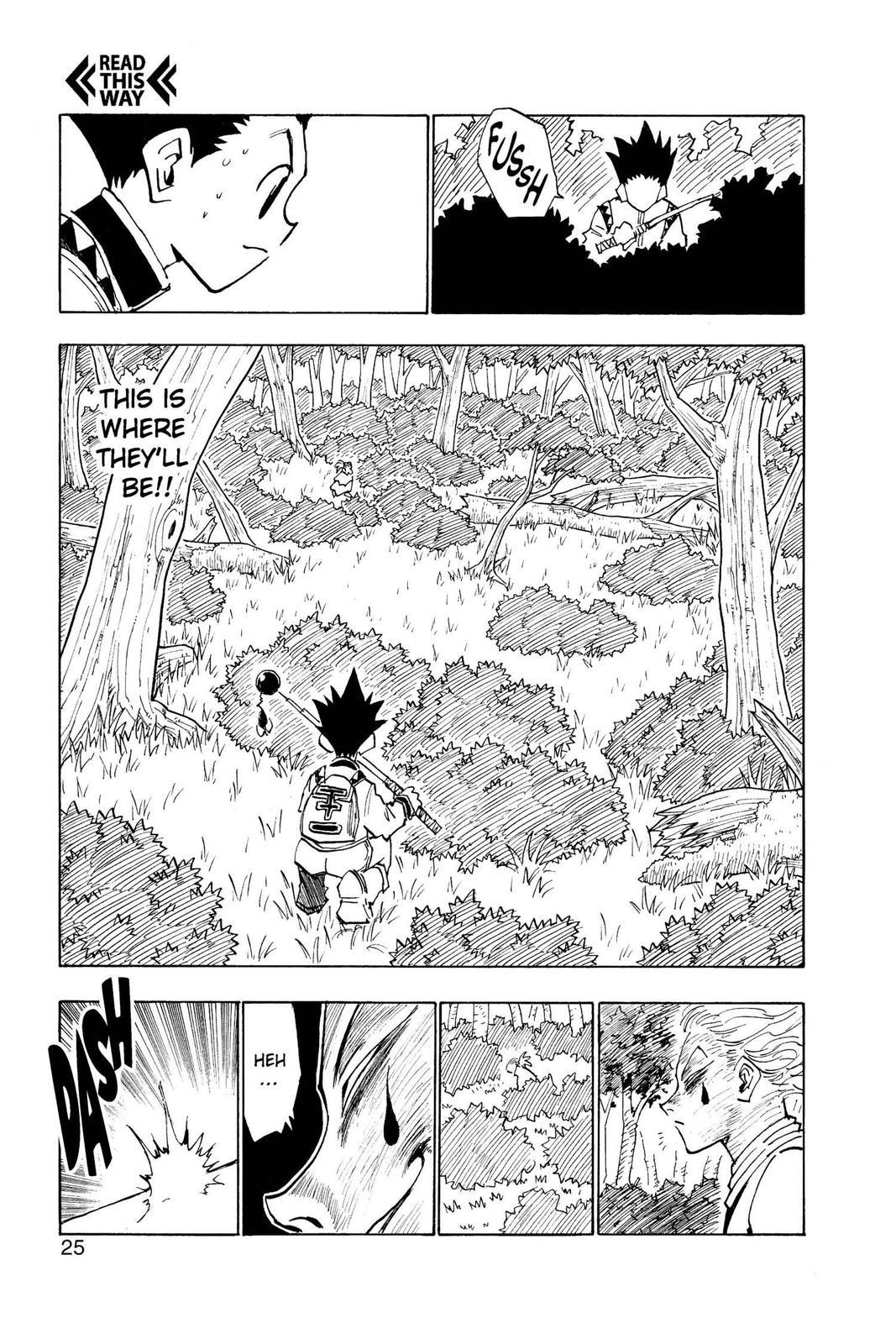 Hunter x Hunter Chapter 27 - Page 25