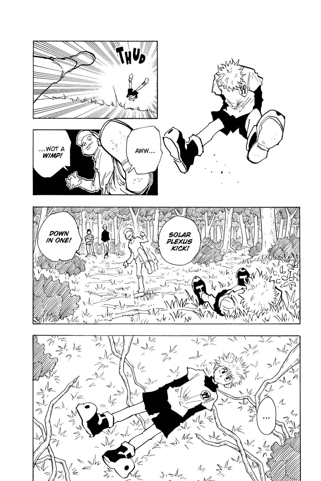 Hunter x Hunter Chapter 29 - Page 8