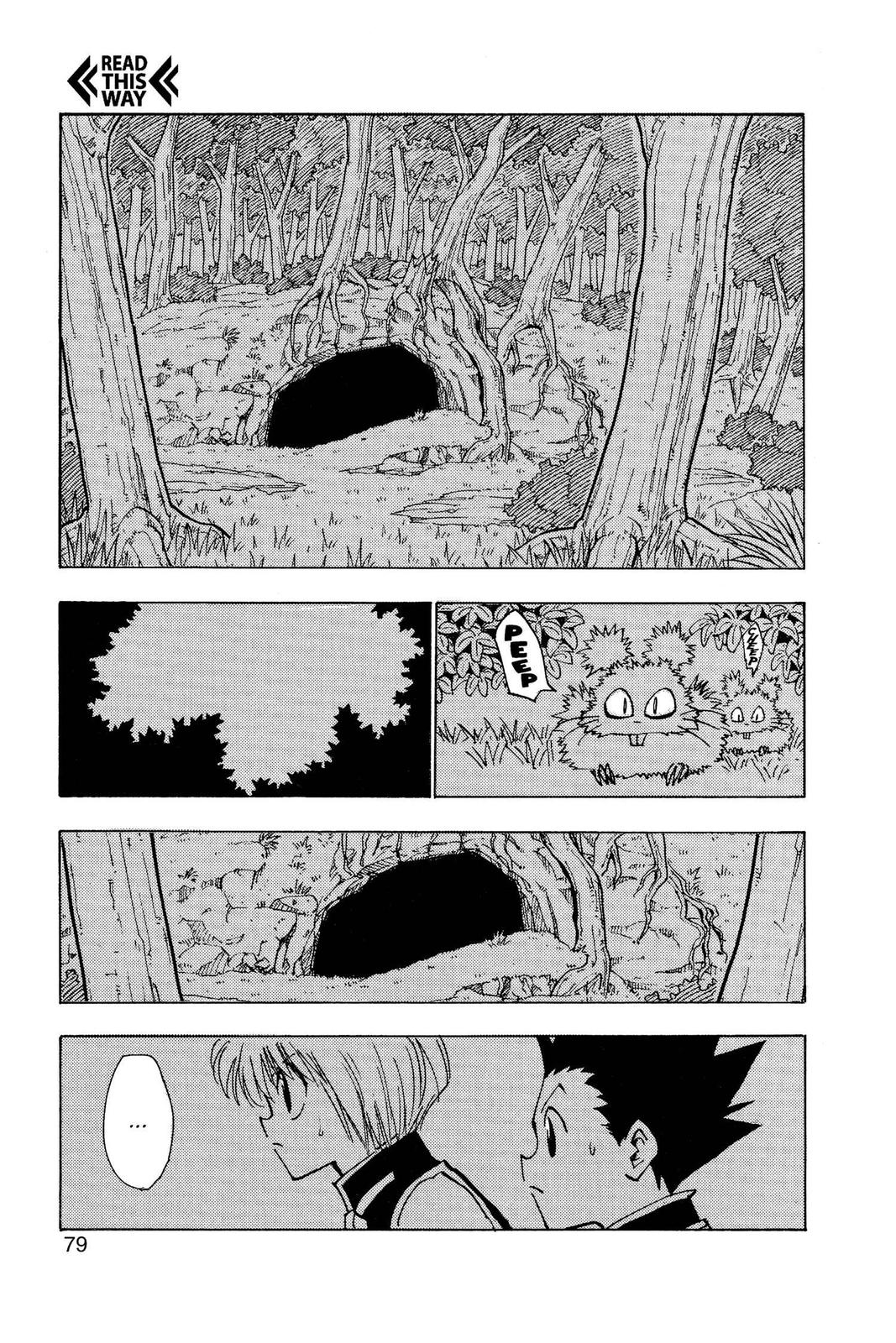 Hunter x Hunter Chapter 30 - Page 13