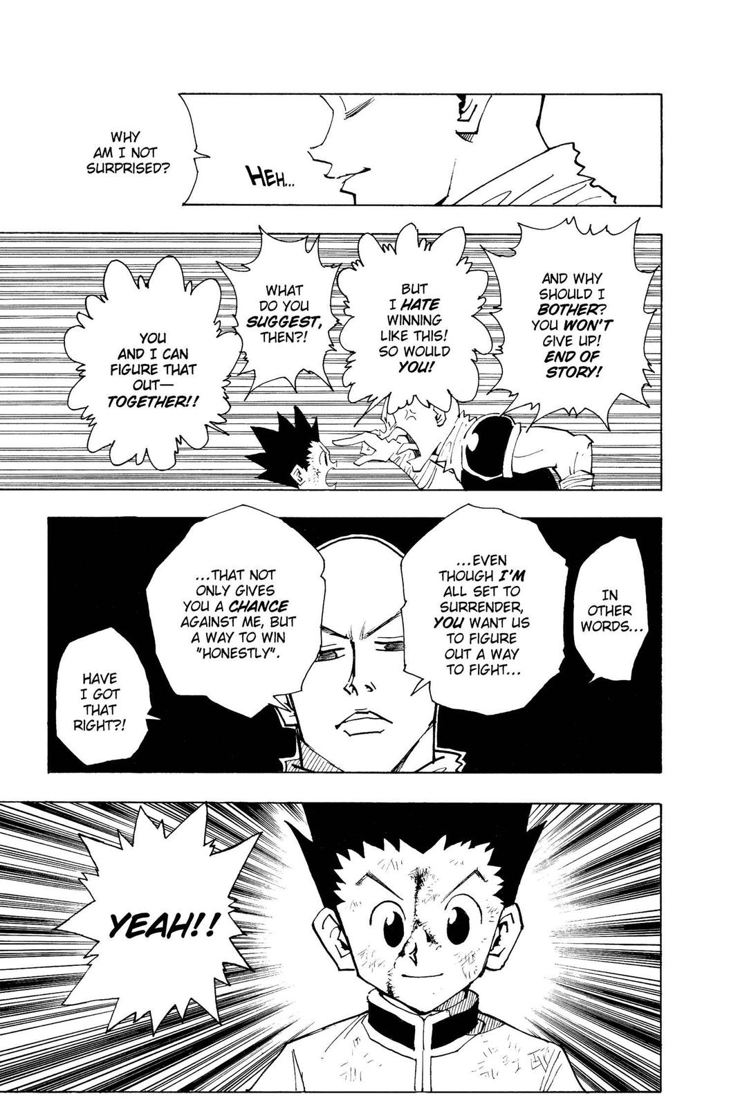 Hunter x Hunter Chapter 34 - Page 17