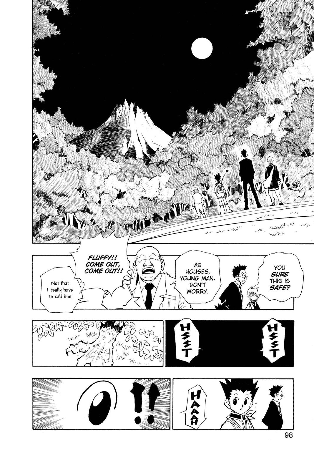 Hunter x Hunter Chapter 40 - Page 12