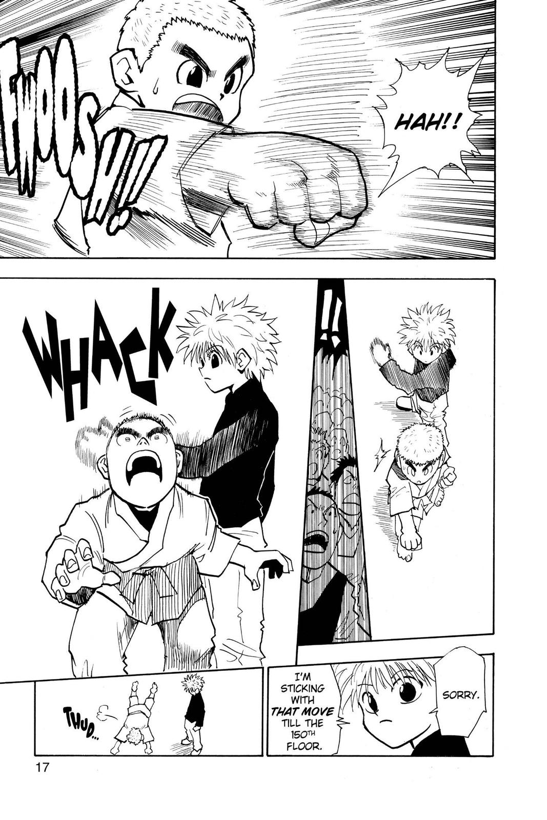Hunter x Hunter Chapter 45 - Page 17