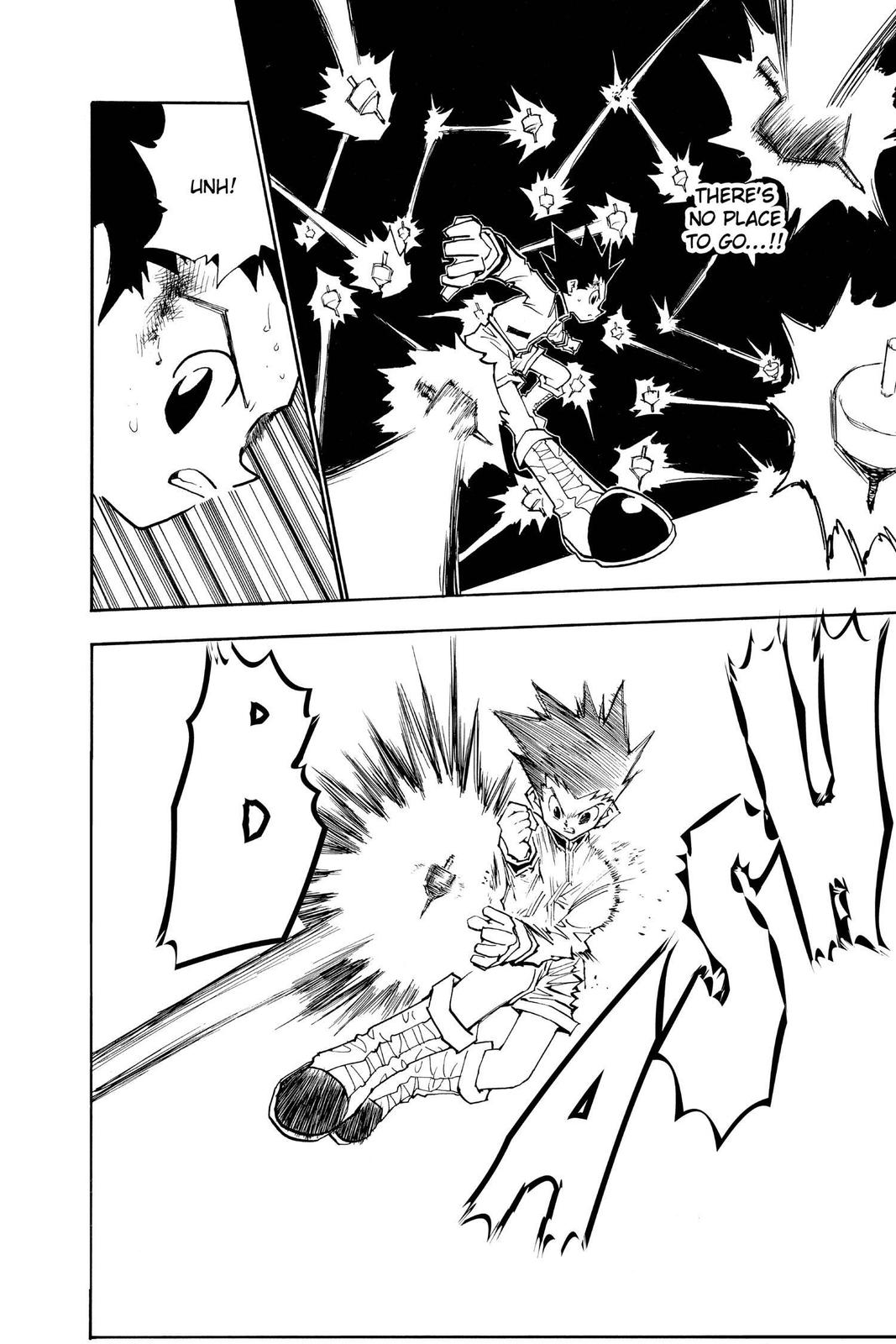 Hunter x Hunter Chapter 51 - Page 10