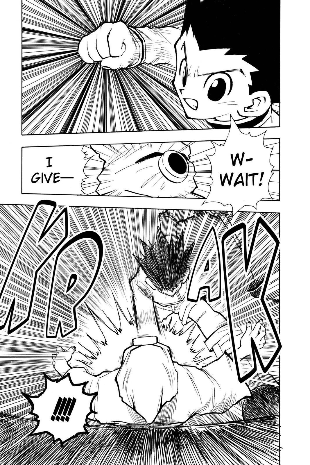 Hunter x Hunter Chapter 58 - Page 17
