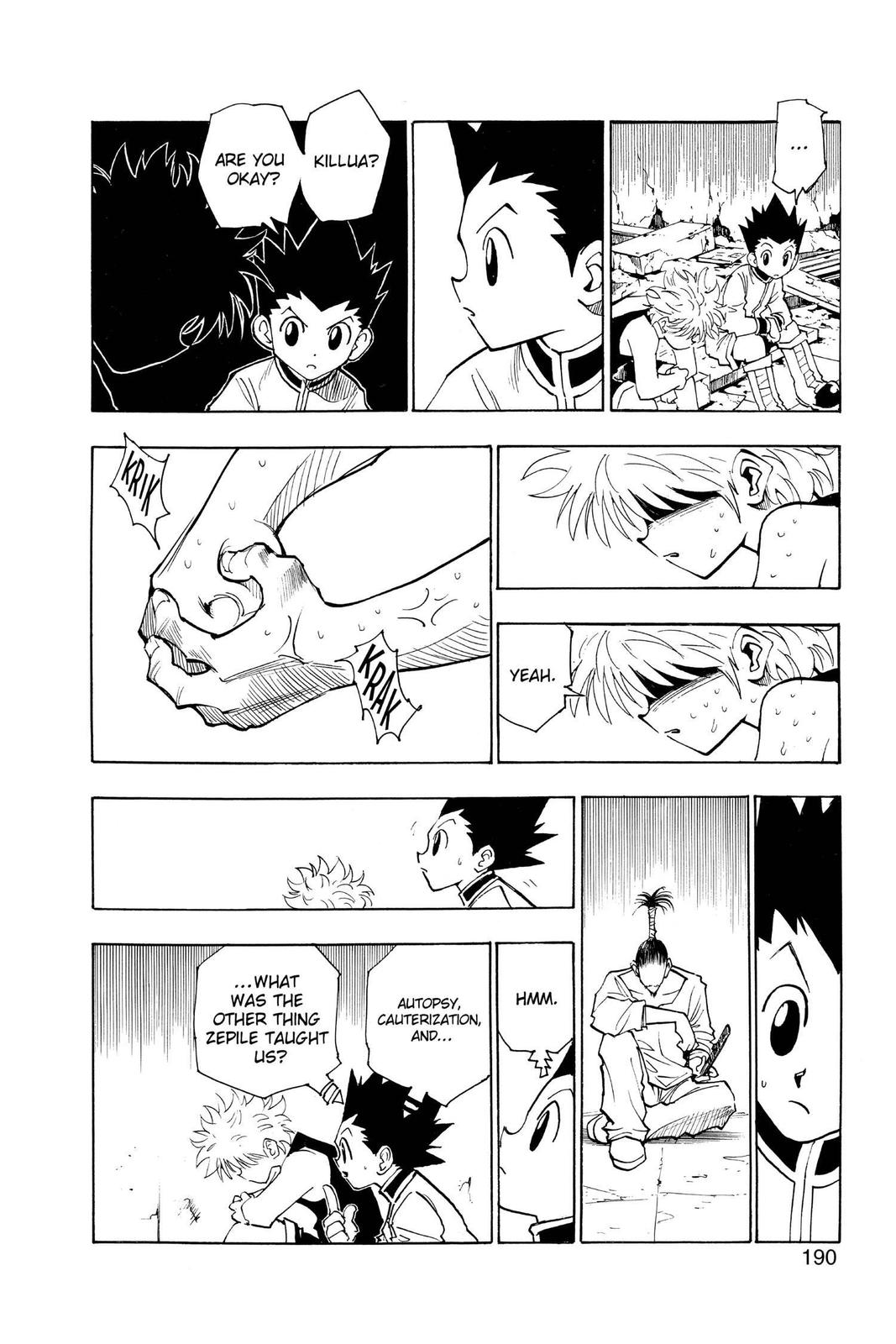 Hunter x Hunter Chapter 93 - Page 10
